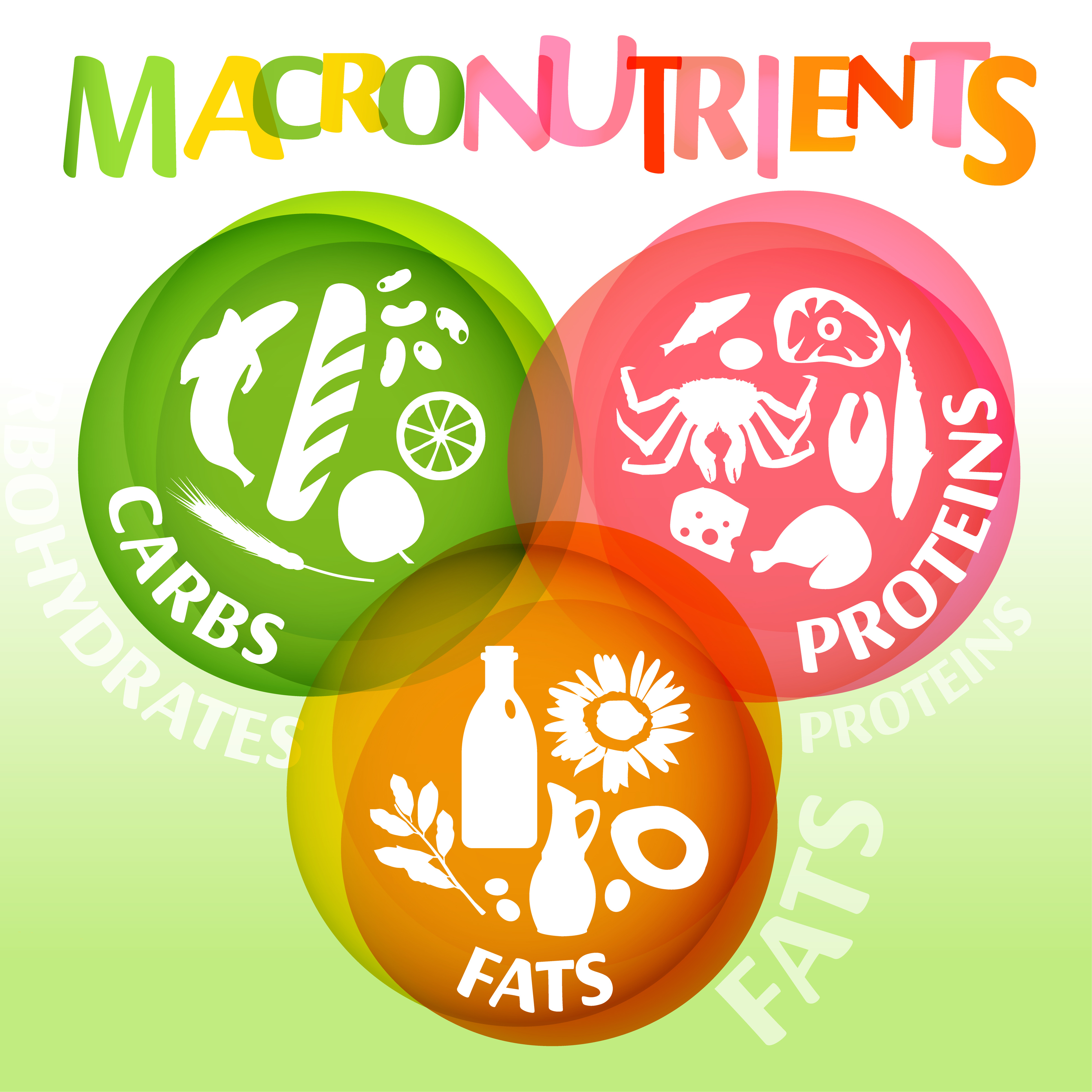 Visita il mio sito prodotti